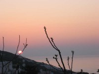 /album/tour-di-ponza/sintia-07ponza-002-jpg/